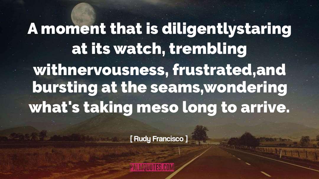 Rudy Francisco Quotes: A moment that is diligently<br