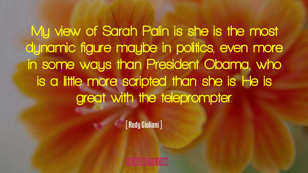 Rudy Giuliani Quotes: My view of Sarah Palin