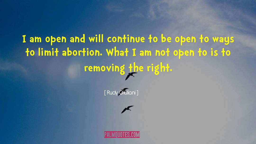 Rudy Giuliani Quotes: I am open and will