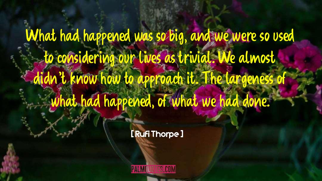 Rufi Thorpe Quotes: What had happened was so