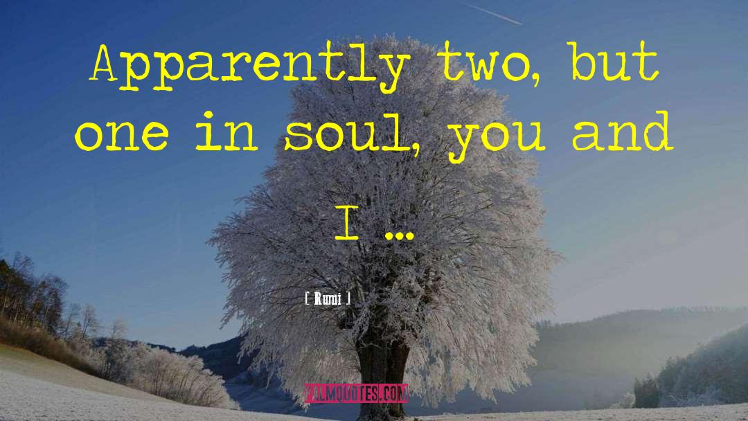 Rumi Quotes: Apparently two, but one in