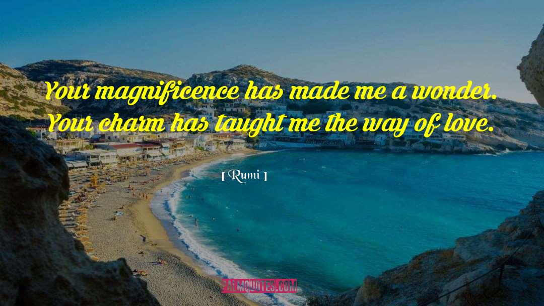 Rumi Quotes: Your magnificence has made me