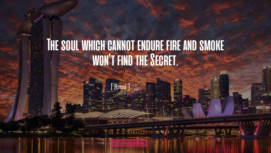 Rumi Quotes: The soul which cannot endure