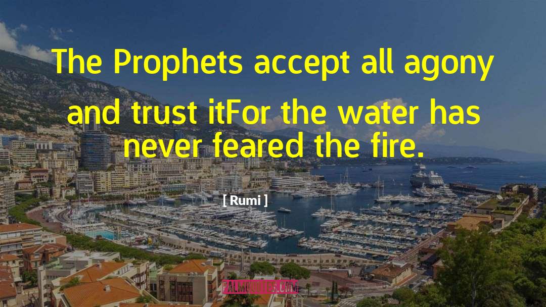 Rumi Quotes: The Prophets accept all agony