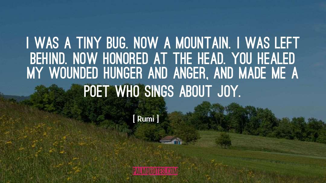 Rumi Quotes: I was a tiny bug.