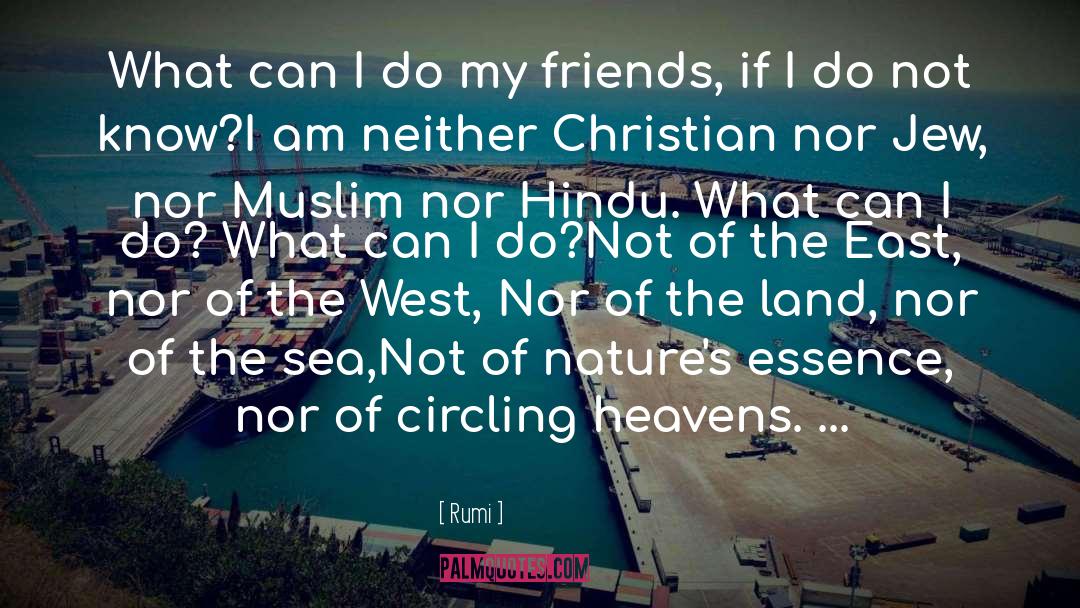 Rumi Quotes: What can I do my