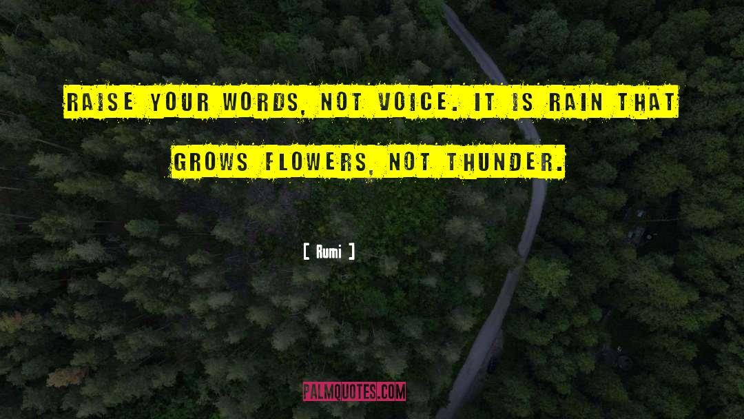 Rumi Quotes: Raise your words, not voice.