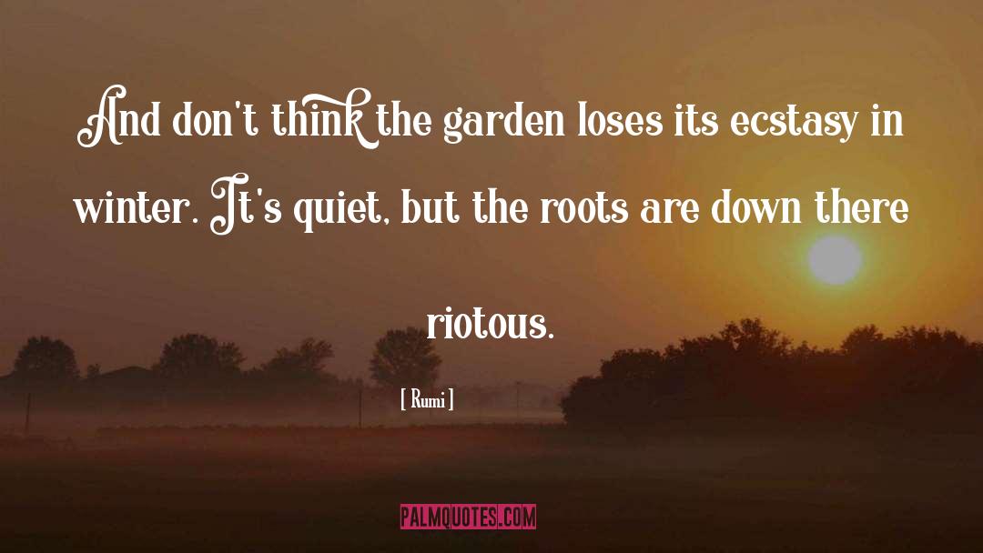 Rumi Quotes: And don't think the garden