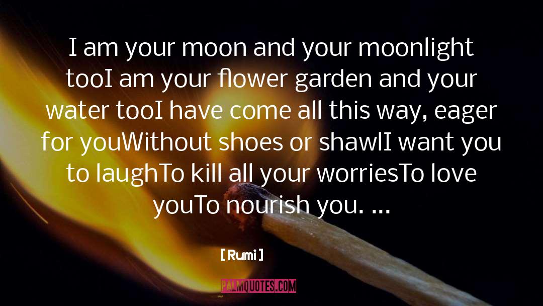 Rumi Quotes: I am your moon and