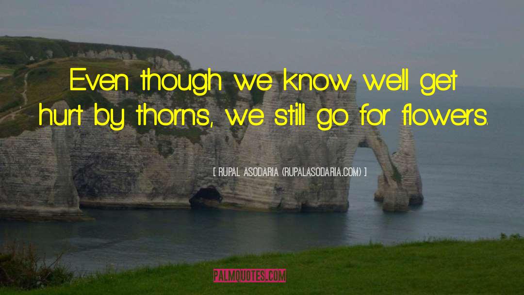 Rupal Asodaria (RupalAsodaria.com) Quotes: Even though we know we'll