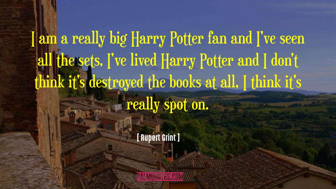 Rupert Grint Quotes: I am a really big