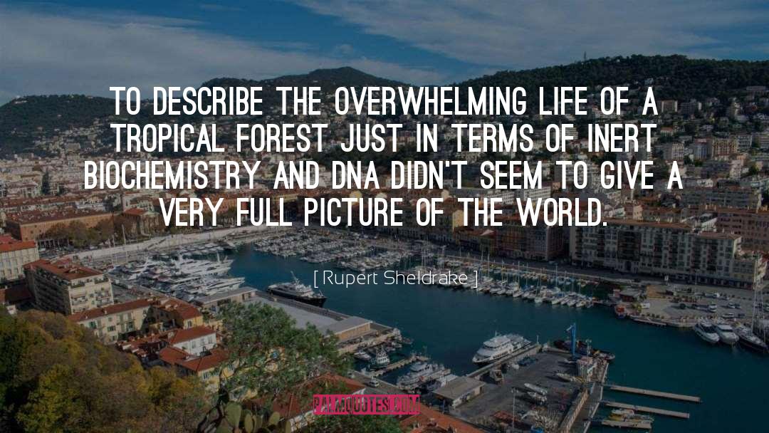 Rupert Sheldrake Quotes: To describe the overwhelming life