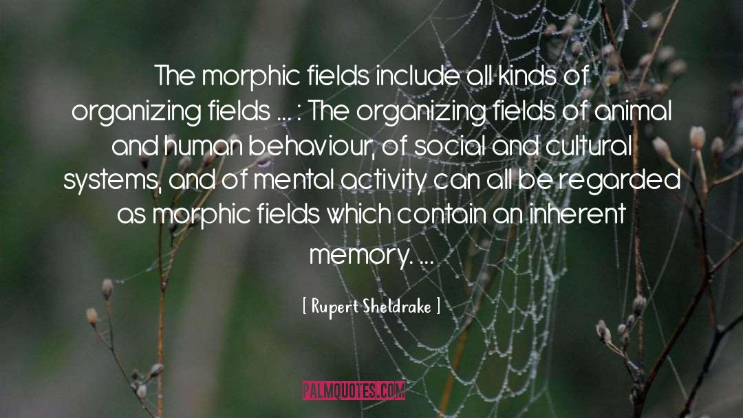 Rupert Sheldrake Quotes: The morphic fields include all