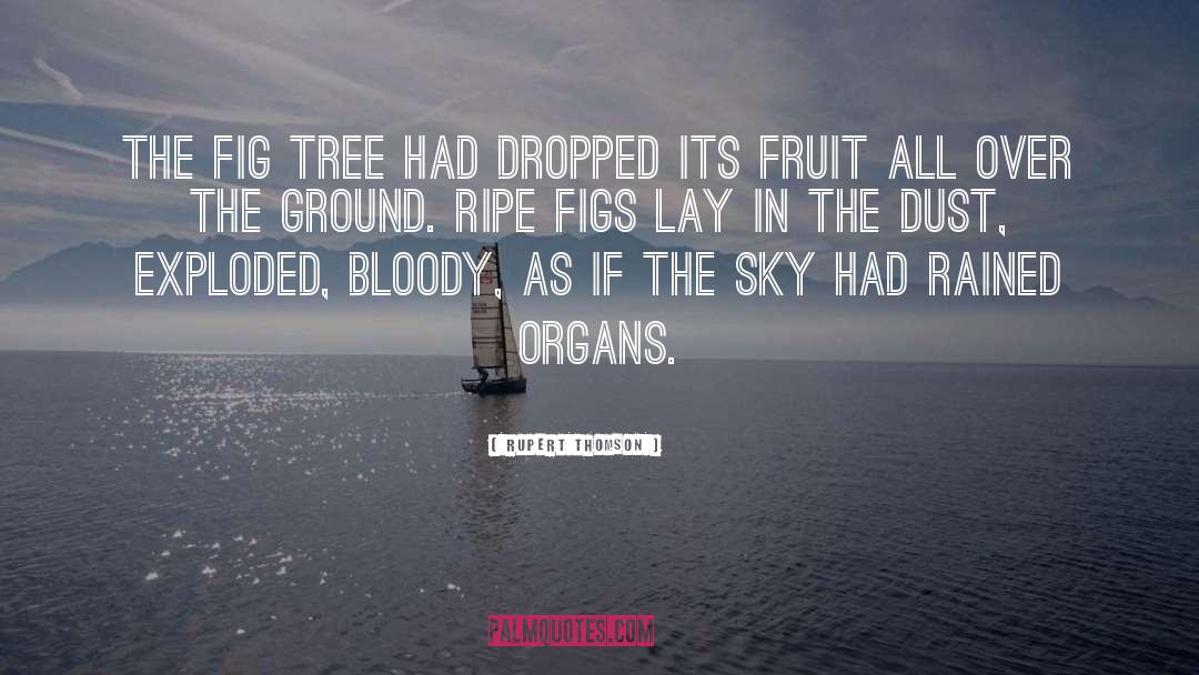 Rupert Thomson Quotes: The fig tree had dropped