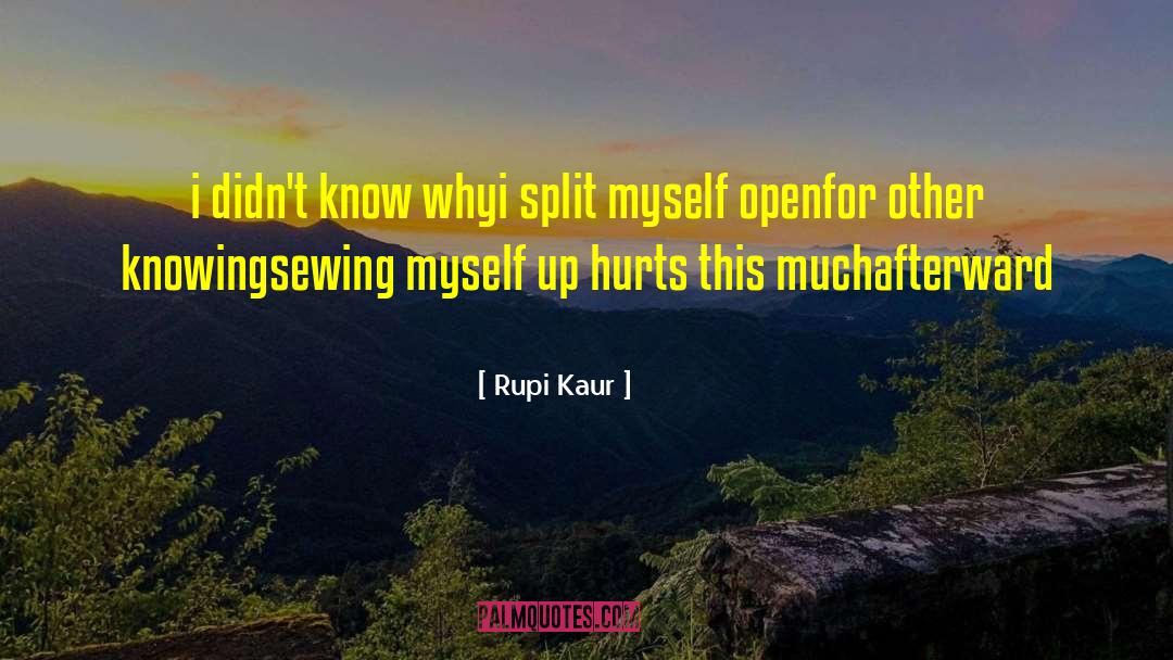 Rupi Kaur Quotes: i didn't know why<br />i