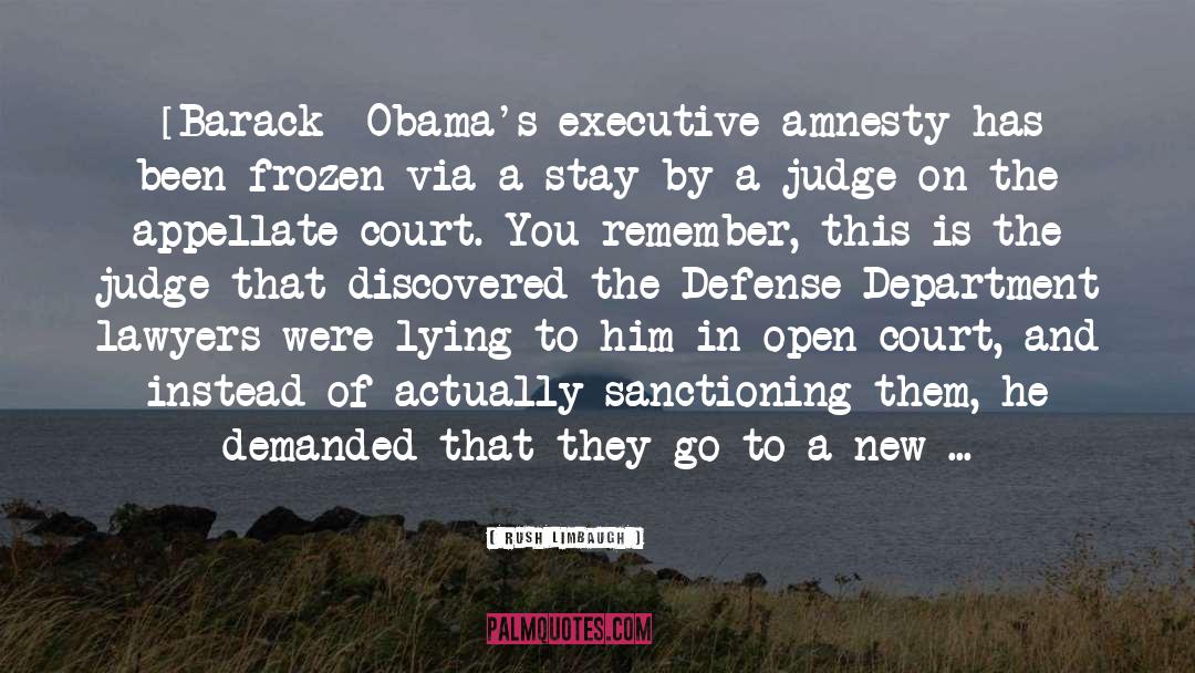 Rush Limbaugh Quotes: [Barack] Obama's executive amnesty has