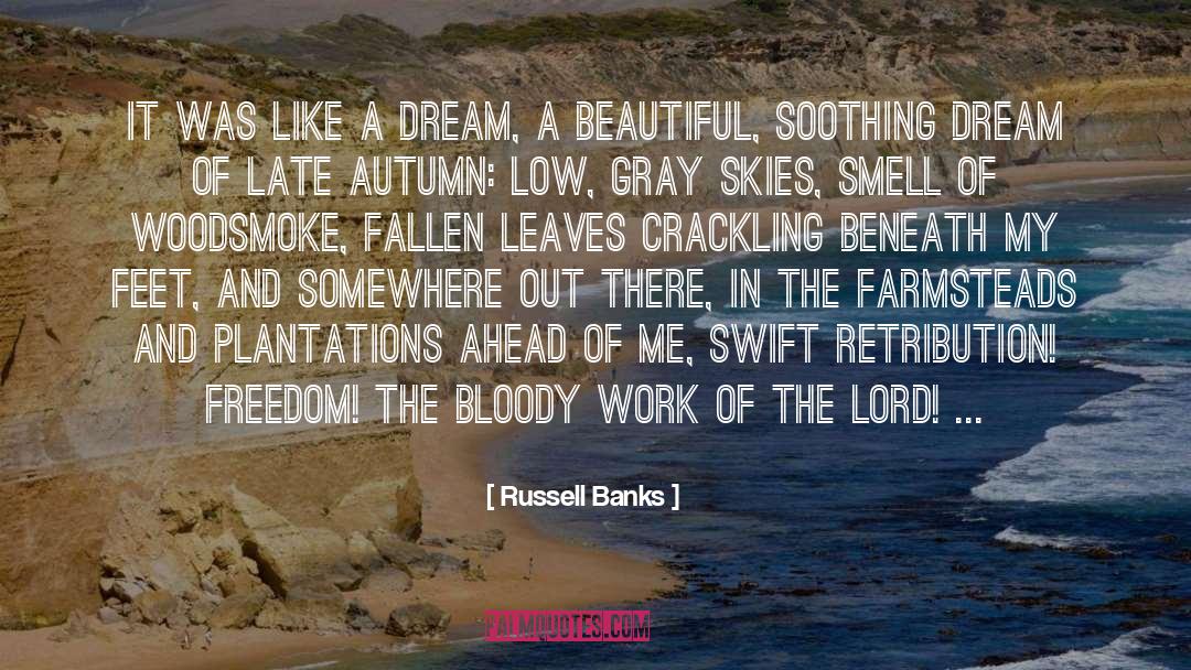 Russell Banks Quotes: It was like a dream,