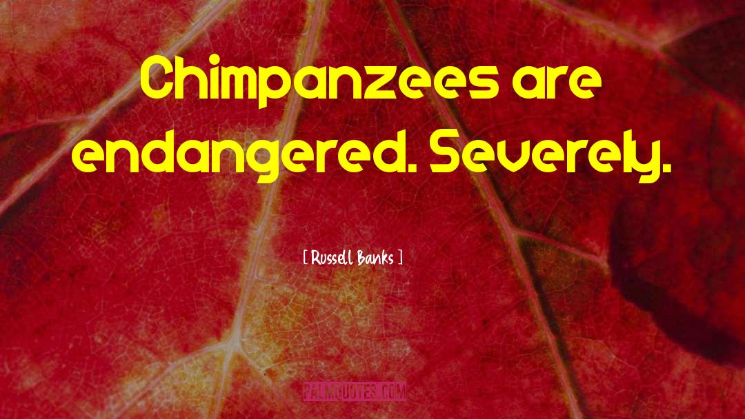 Russell Banks Quotes: Chimpanzees are endangered. Severely.