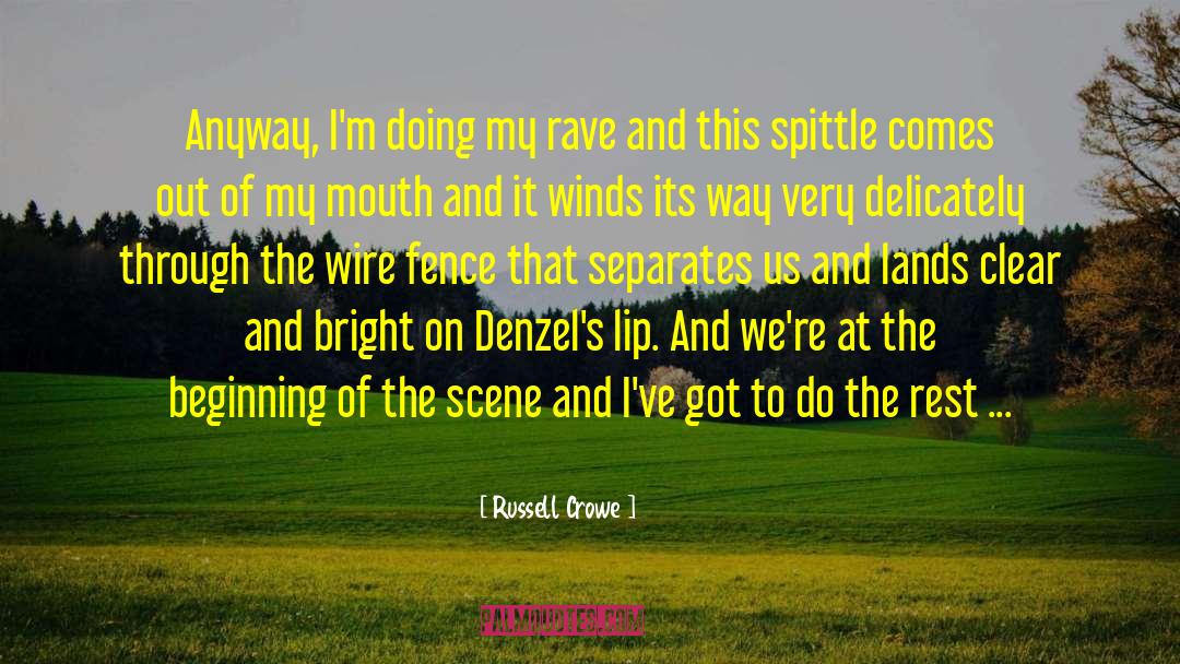 Russell Crowe Quotes: Anyway, I'm doing my rave