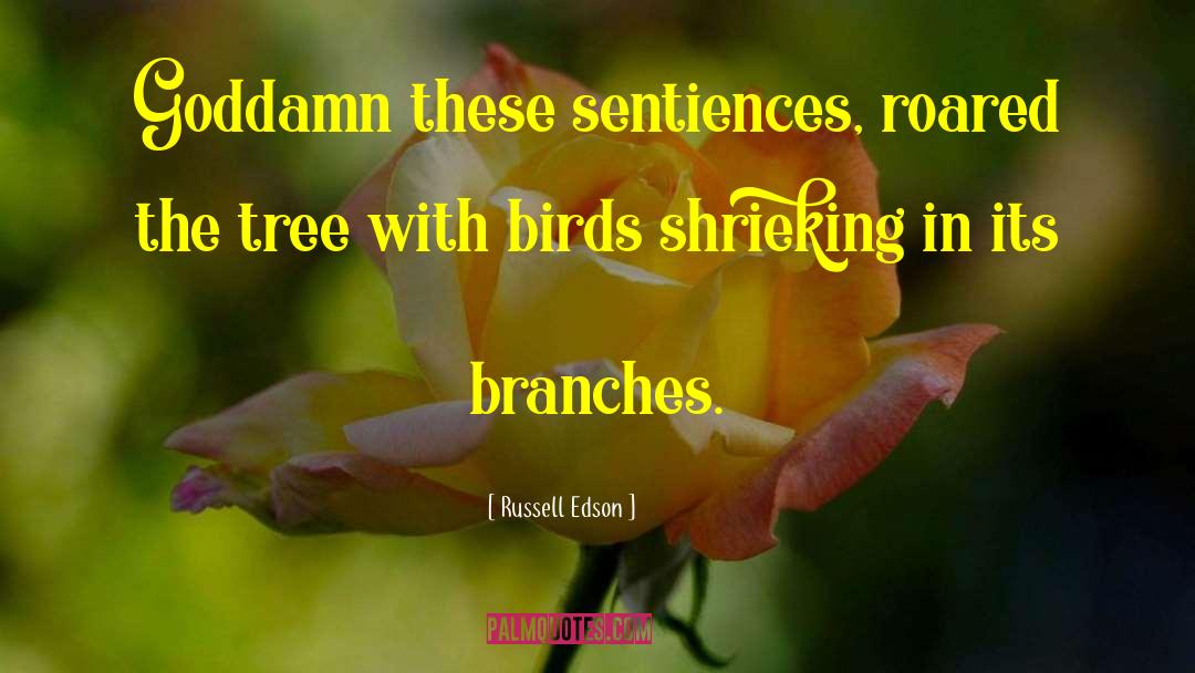 Russell Edson Quotes: Goddamn these sentiences, roared the