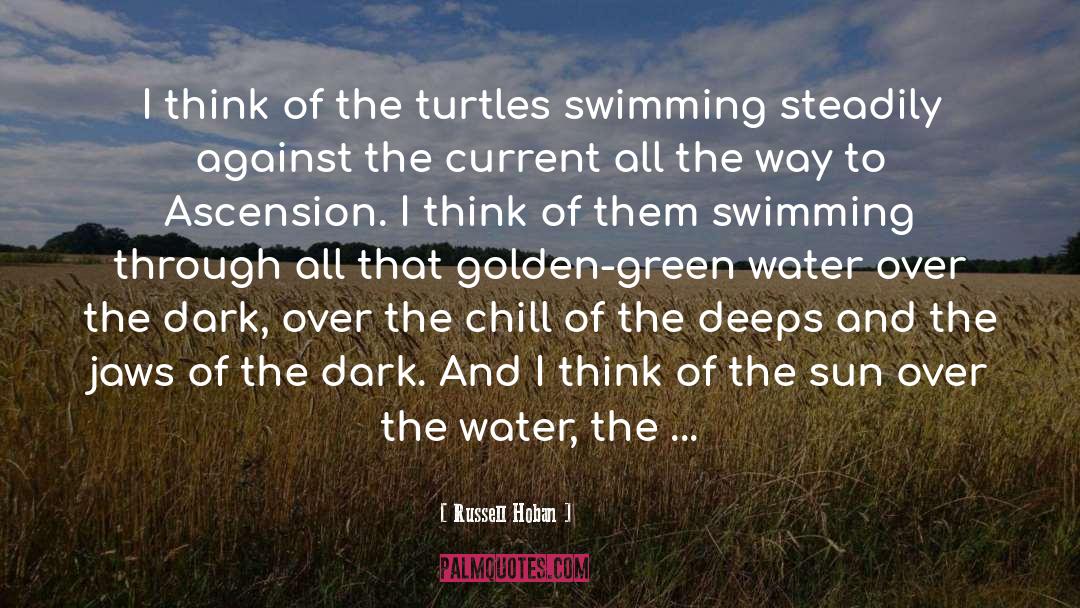 Russell Hoban Quotes: I think of the turtles