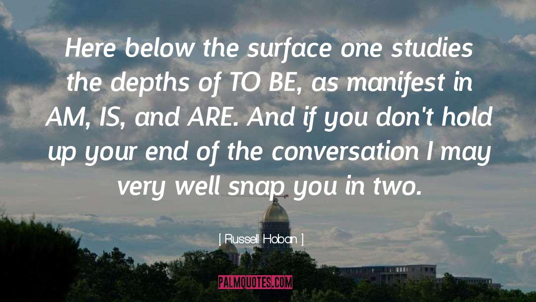 Russell Hoban Quotes: Here below the surface one