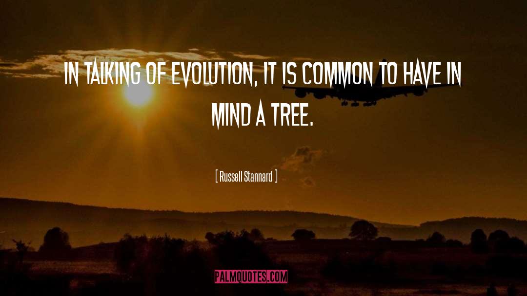 Russell Stannard Quotes: In talking of evolution, it