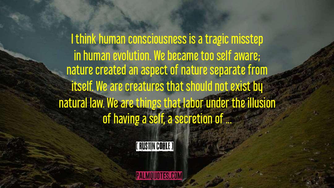 Rustin Cohle Quotes: I think human consciousness is