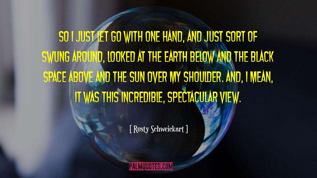 Rusty Schweickart Quotes: So I just let go