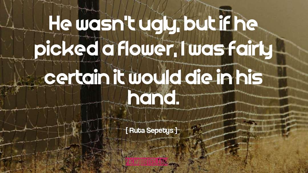 Ruta Sepetys Quotes: He wasn't ugly, but if