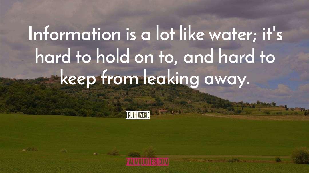 Ruth Ozeki Quotes: Information is a lot like