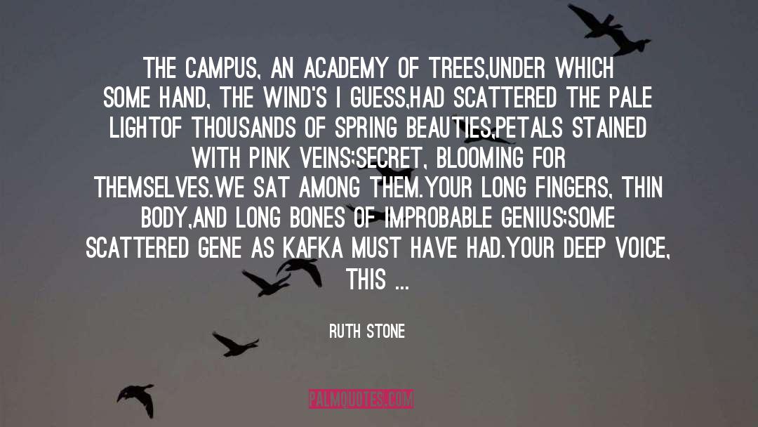 Ruth Stone Quotes: The campus, an academy of