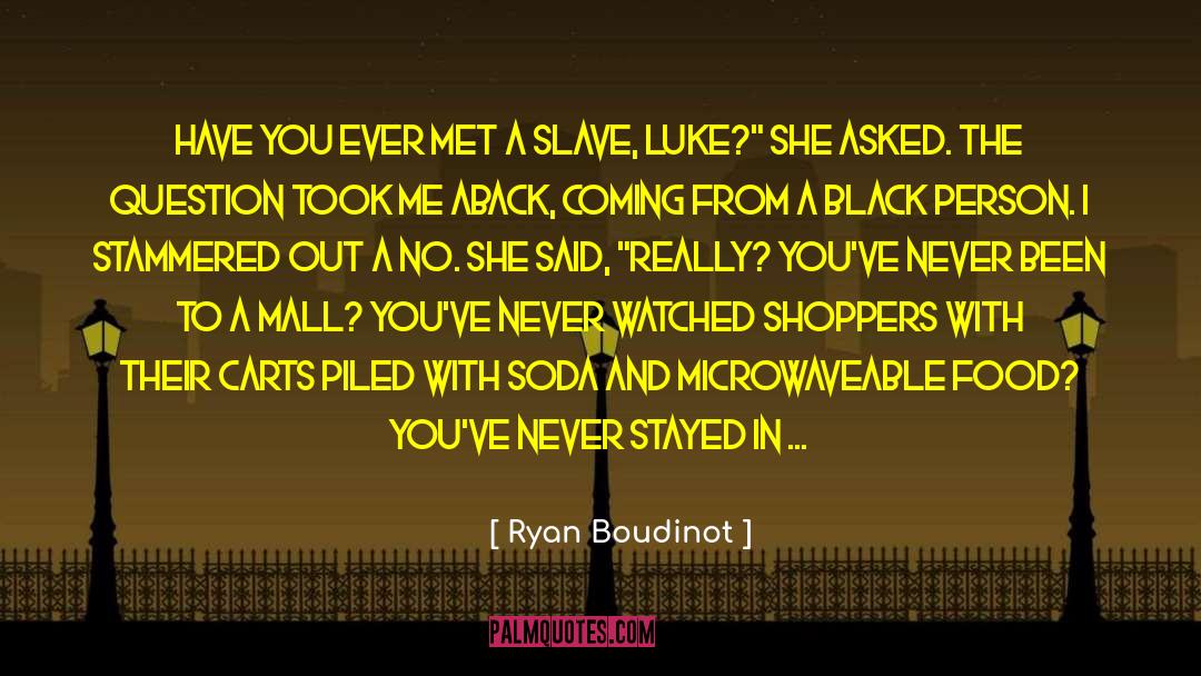 Ryan Boudinot Quotes: Have you ever met a