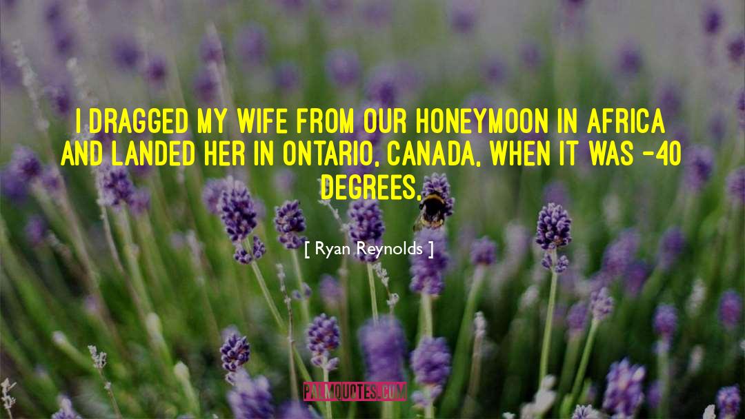 Ryan Reynolds Quotes: I dragged my wife from
