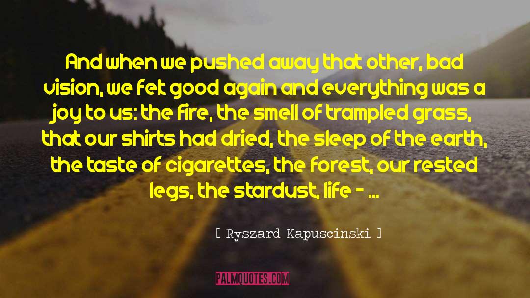 Ryszard Kapuscinski Quotes: And when we pushed away