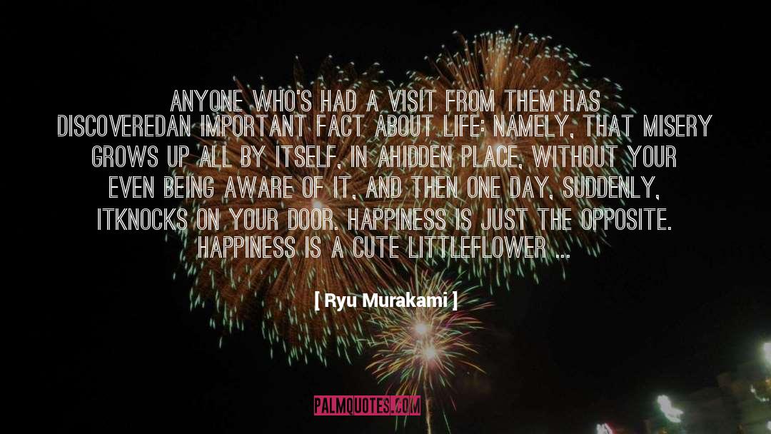 Ryu Murakami Quotes: Anyone who's had a visit
