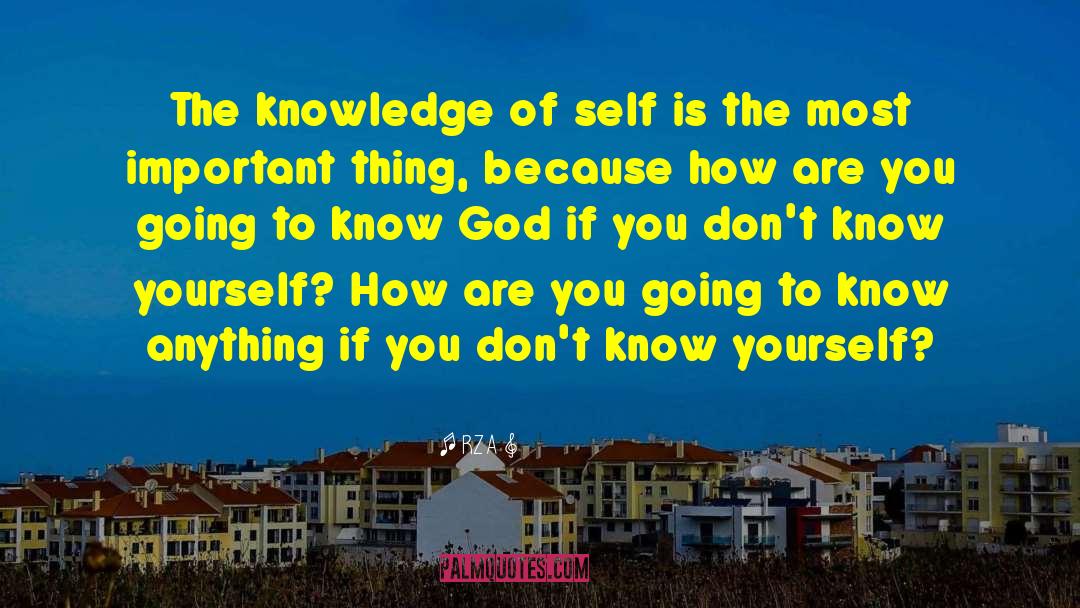 RZA Quotes: The knowledge of self is