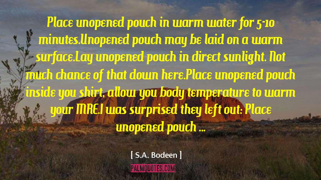 S.A. Bodeen Quotes: Place unopened pouch in warm