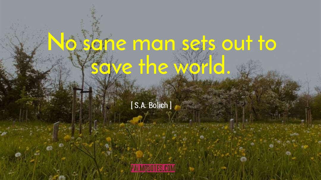 S.A. Bolich Quotes: No sane man sets out