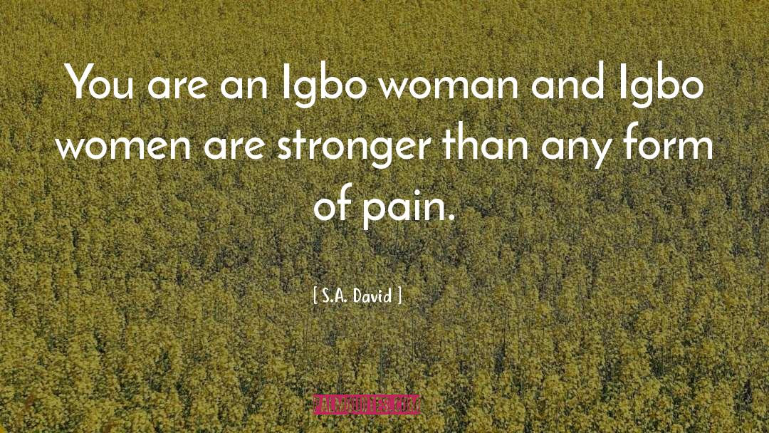 S.A. David Quotes: You are an Igbo woman