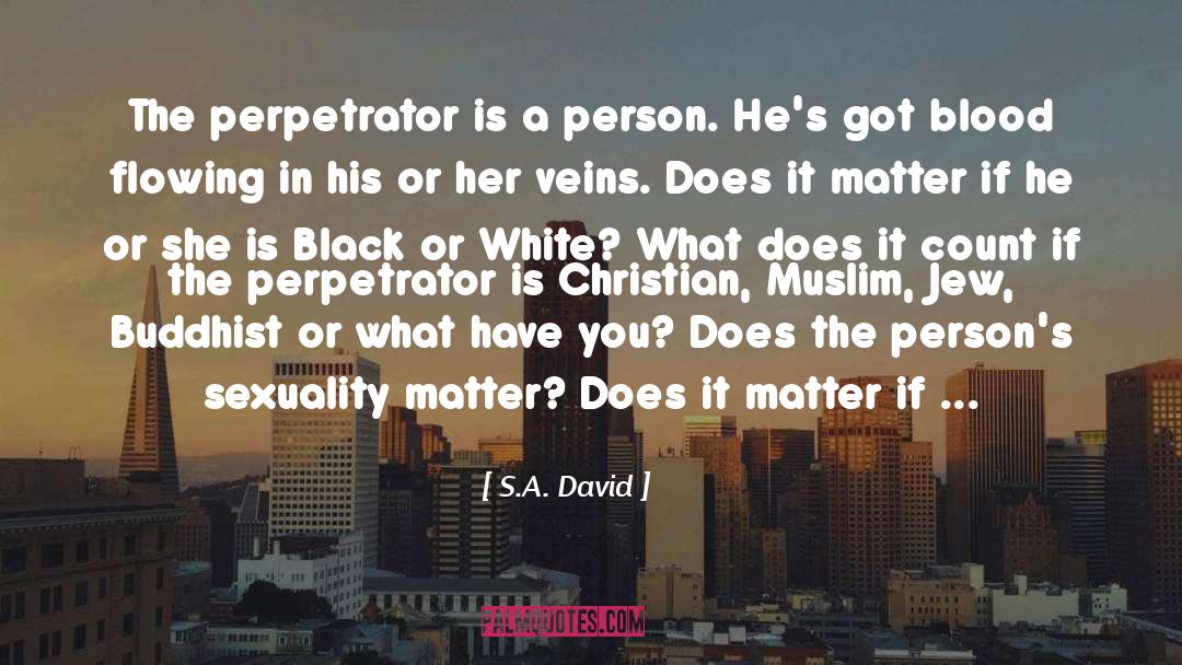 S.A. David Quotes: The perpetrator is a person.