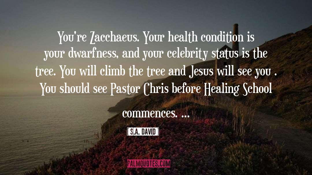 S.A. David Quotes: You're Zacchaeus. Your health condition