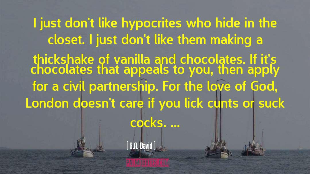 S.A. David Quotes: I just don't like hypocrites