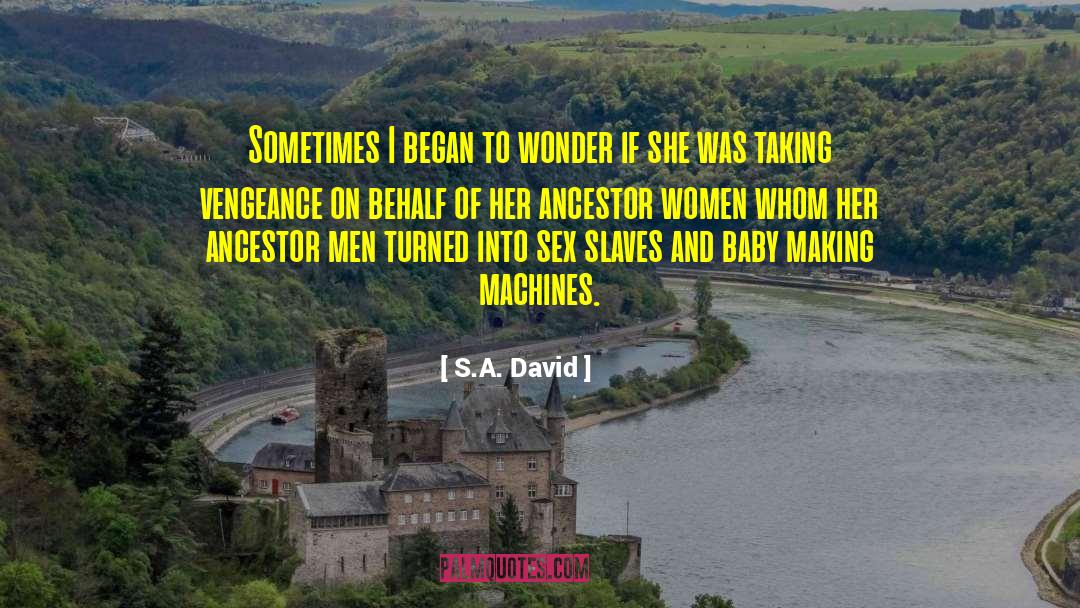 S.A. David Quotes: Sometimes I began to wonder