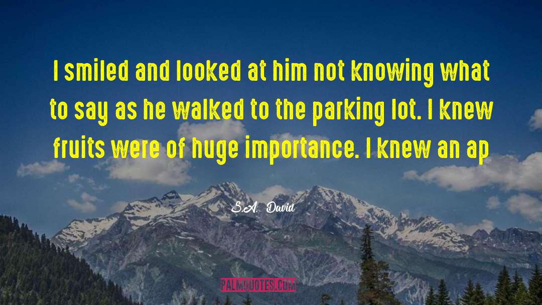 S.A. David Quotes: I smiled and looked at