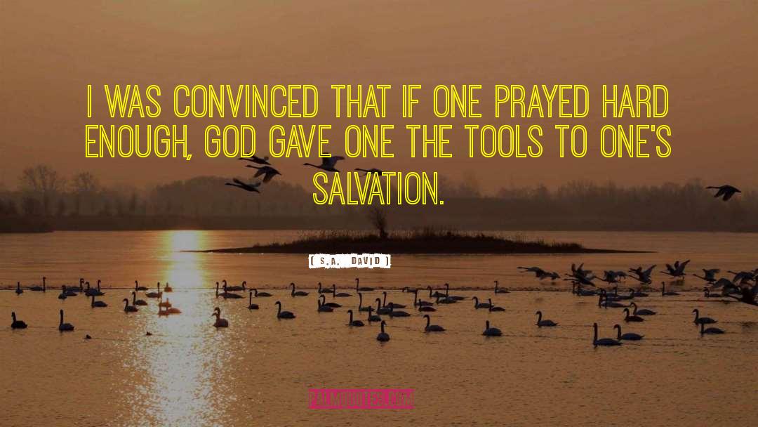 S.A. David Quotes: I was convinced that if