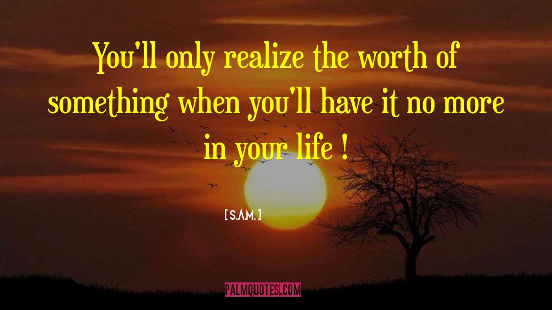 S.A.M. Quotes: You'll only realize the worth