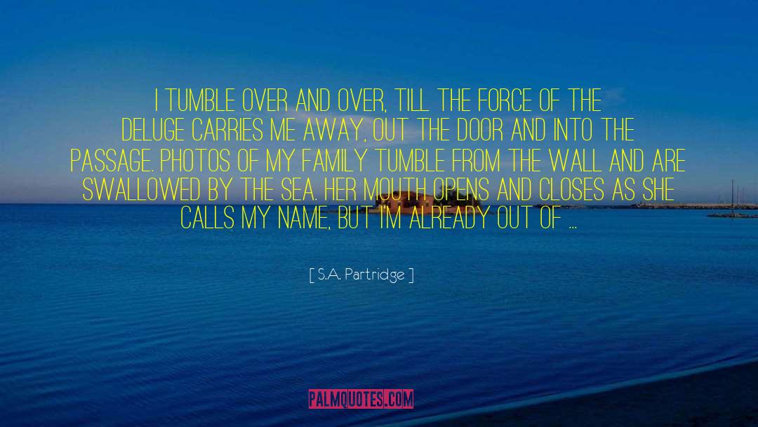S.A. Partridge Quotes: I tumble over and over,