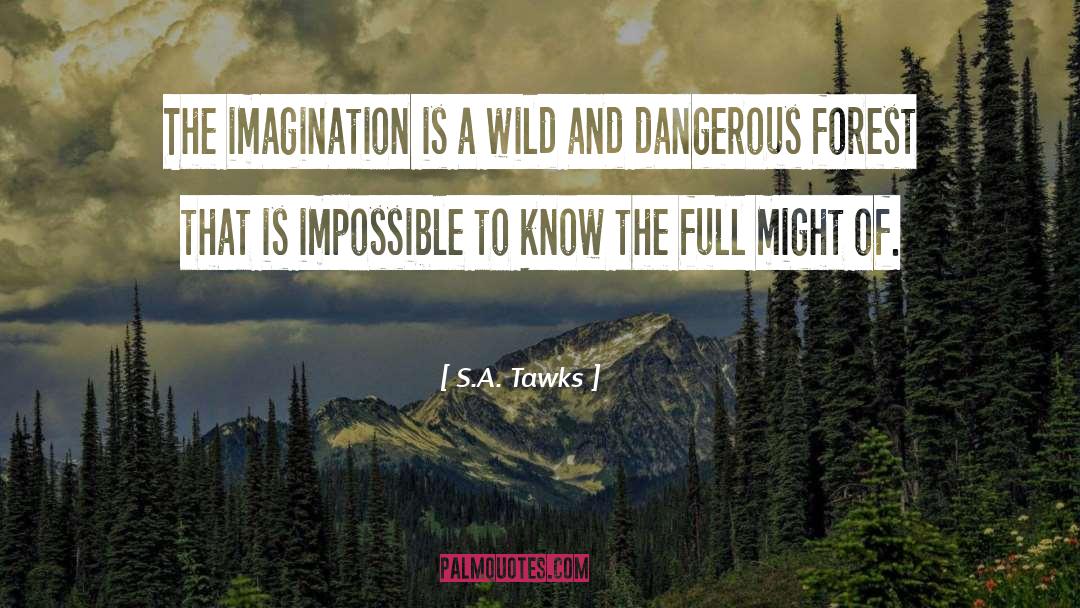 S.A. Tawks Quotes: The imagination is a wild