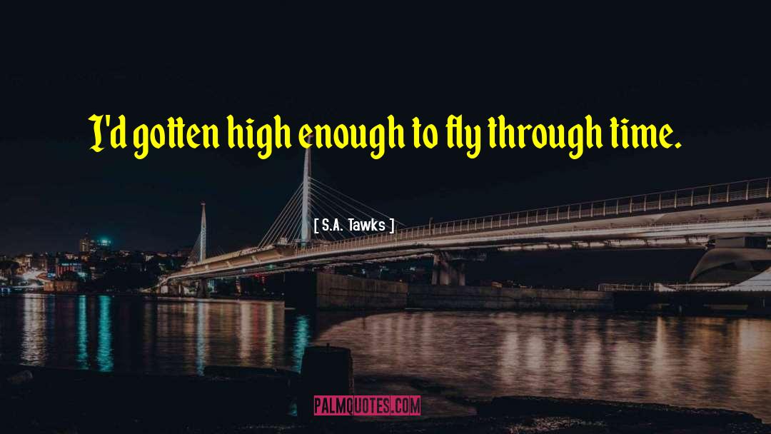 S.A. Tawks Quotes: I'd gotten high enough to
